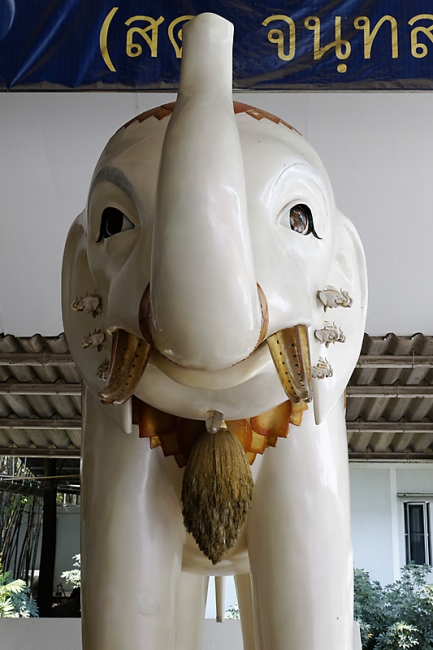 Wat Phra Dhammakaya-042